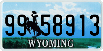 WY license plate 9958913