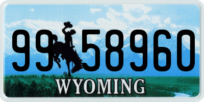 WY license plate 9958960