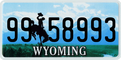 WY license plate 9958993