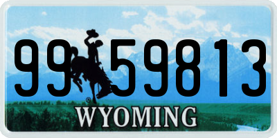 WY license plate 9959813