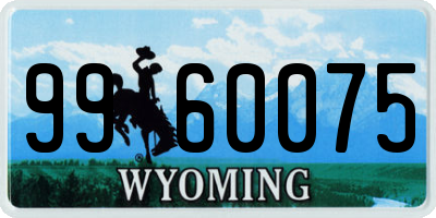 WY license plate 9960075