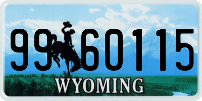 WY license plate 9960115