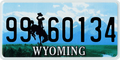 WY license plate 9960134