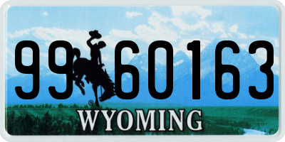 WY license plate 9960163