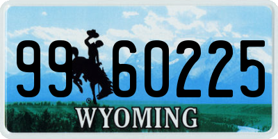 WY license plate 9960225
