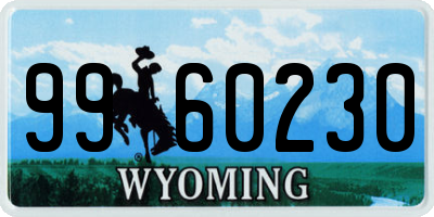 WY license plate 9960230