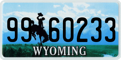 WY license plate 9960233