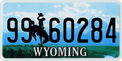 WY license plate 9960284