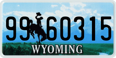 WY license plate 9960315