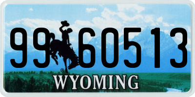 WY license plate 9960513