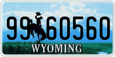 WY license plate 9960560