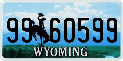 WY license plate 9960599