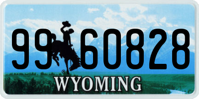 WY license plate 9960828