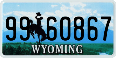 WY license plate 9960867