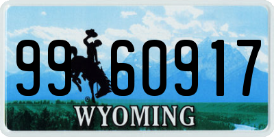 WY license plate 9960917