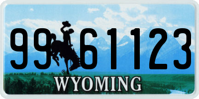 WY license plate 9961123
