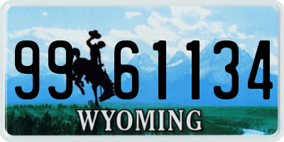 WY license plate 9961134