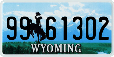 WY license plate 9961302