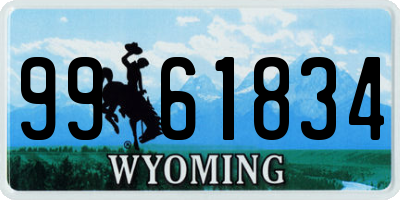 WY license plate 9961834