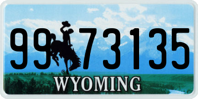 WY license plate 9973135
