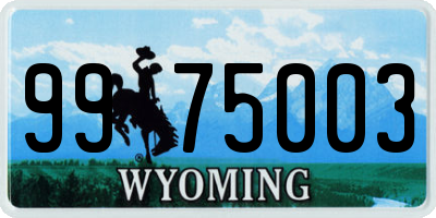 WY license plate 9975003