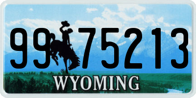 WY license plate 9975213
