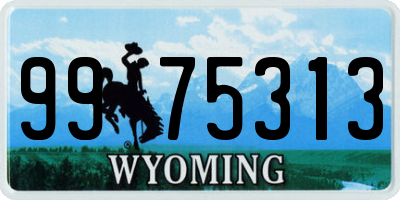 WY license plate 9975313