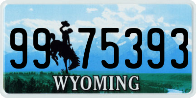 WY license plate 9975393