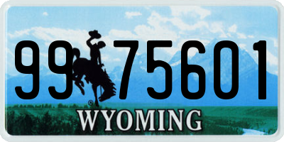 WY license plate 9975601
