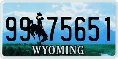 WY license plate 9975651