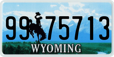 WY license plate 9975713