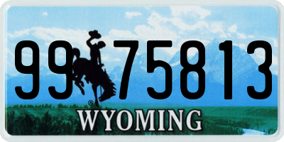 WY license plate 9975813