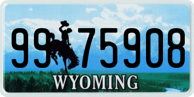 WY license plate 9975908