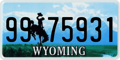 WY license plate 9975931