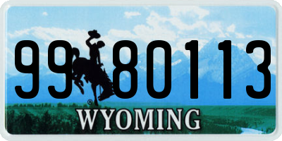 WY license plate 9980113