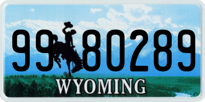 WY license plate 9980289