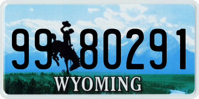 WY license plate 9980291