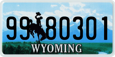 WY license plate 9980301