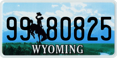 WY license plate 9980825