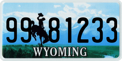 WY license plate 9981233