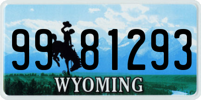 WY license plate 9981293