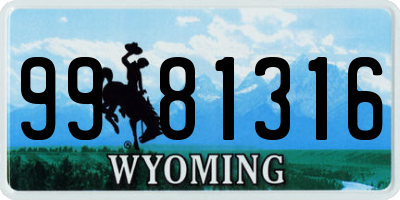 WY license plate 9981316