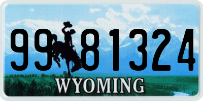 WY license plate 9981324