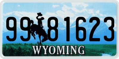 WY license plate 9981623