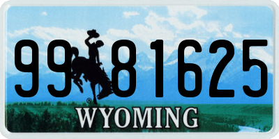 WY license plate 9981625