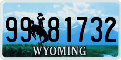 WY license plate 9981732