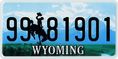 WY license plate 9981901