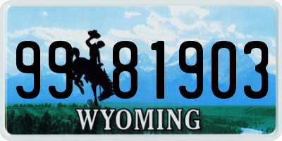WY license plate 9981903
