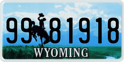 WY license plate 9981918