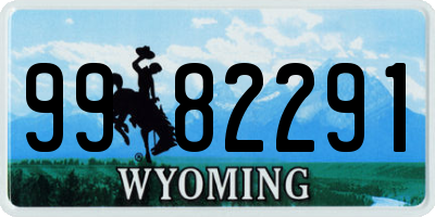 WY license plate 9982291